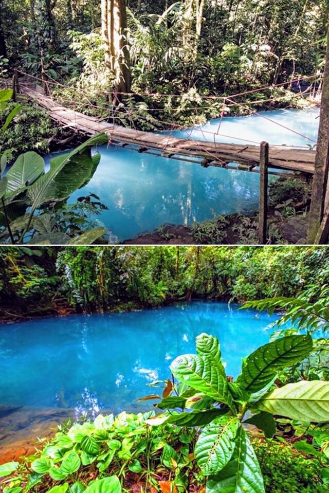 Maravilha da natureza!