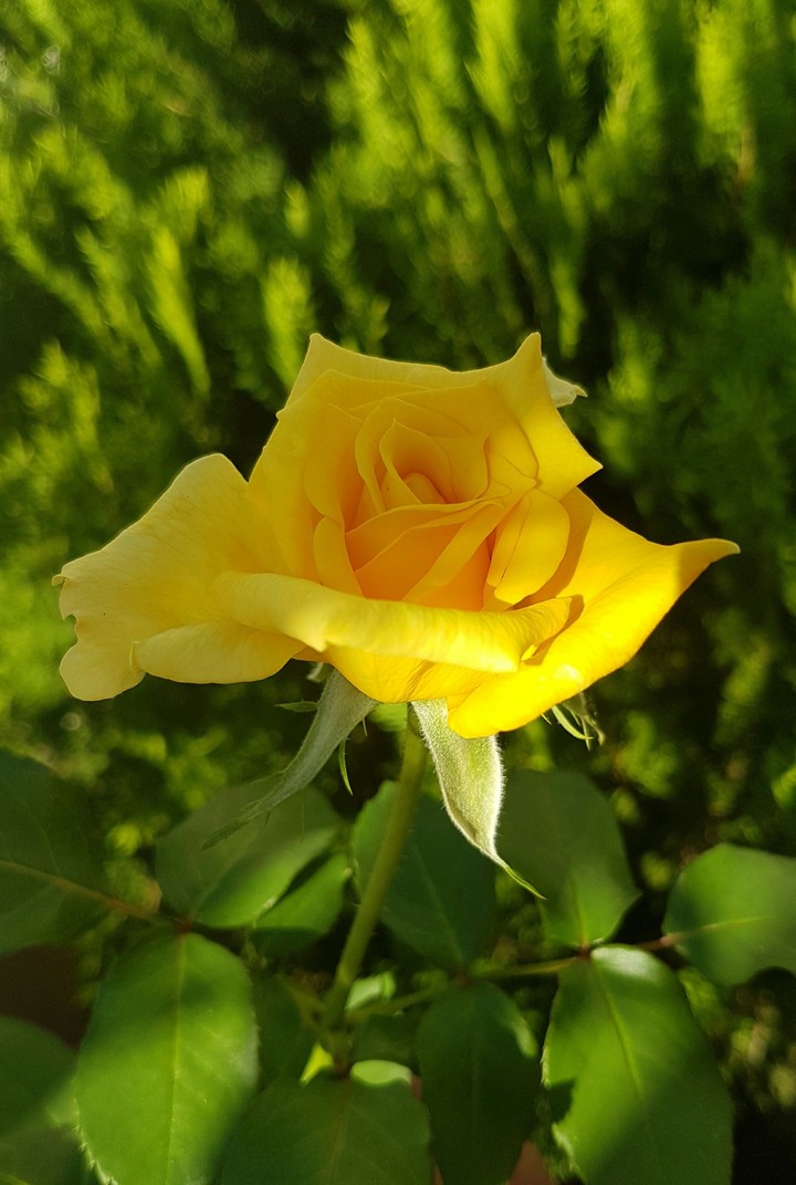 nature colors