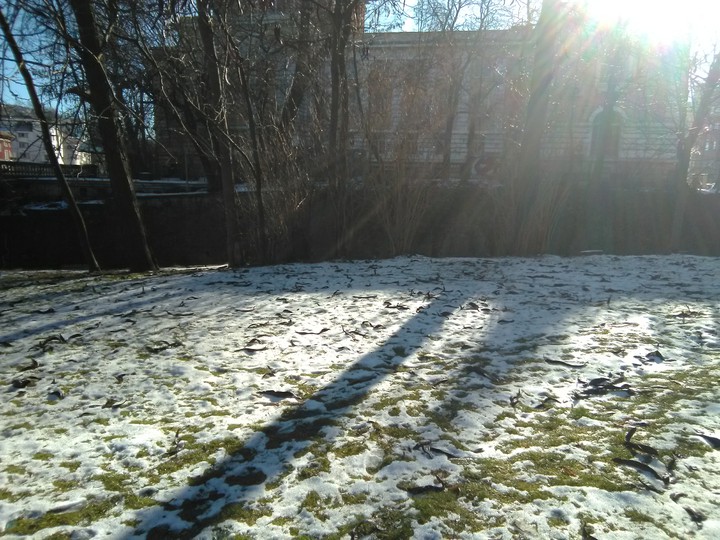 winter