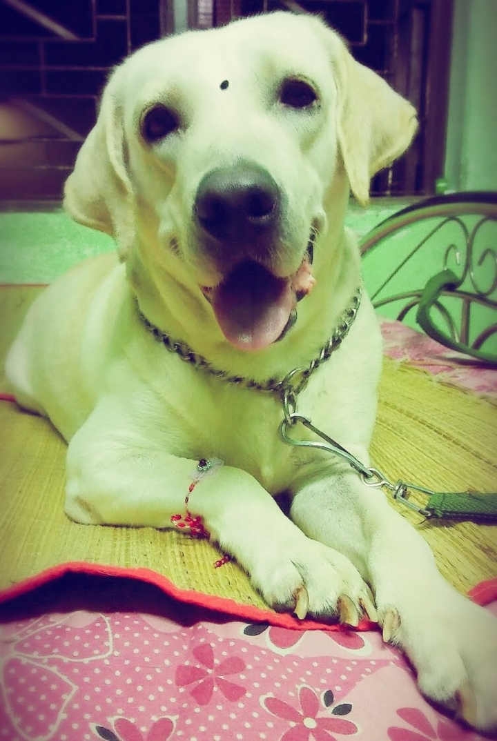 Bruso