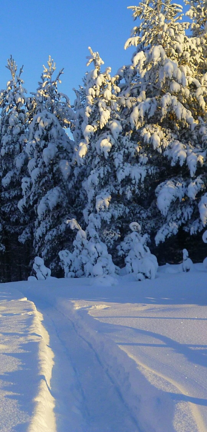Nature ❄️❄️❄️