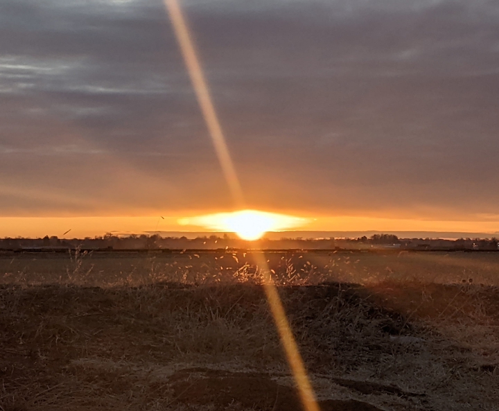 sunrise