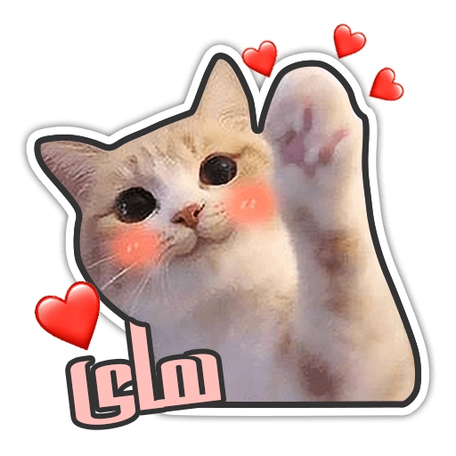 Respect and appreciation to you