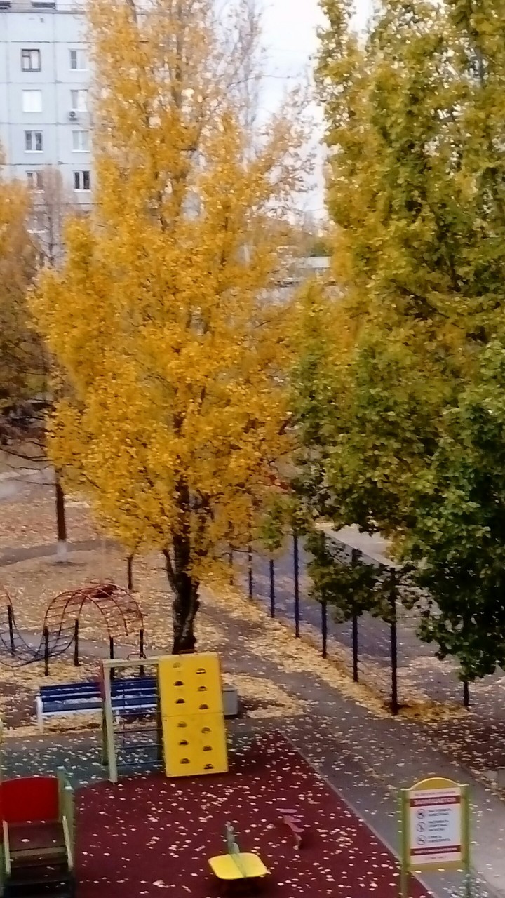 осень