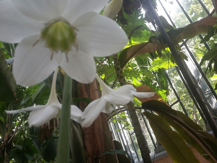 Nature