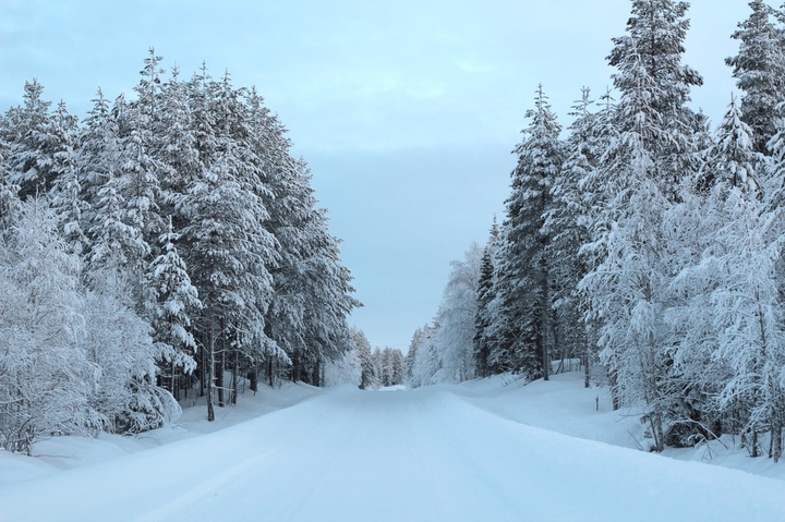 Iceway Forest