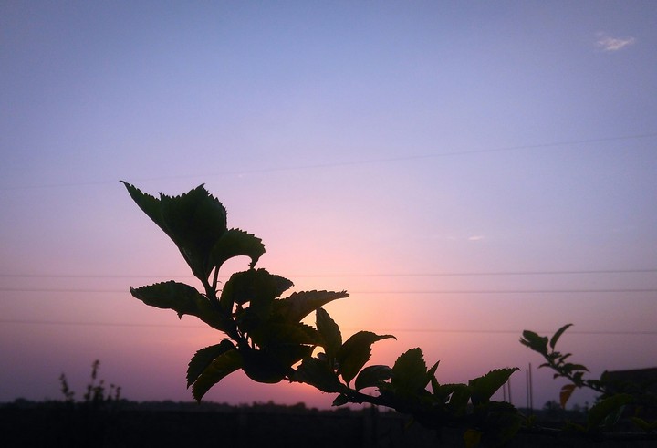 sunset