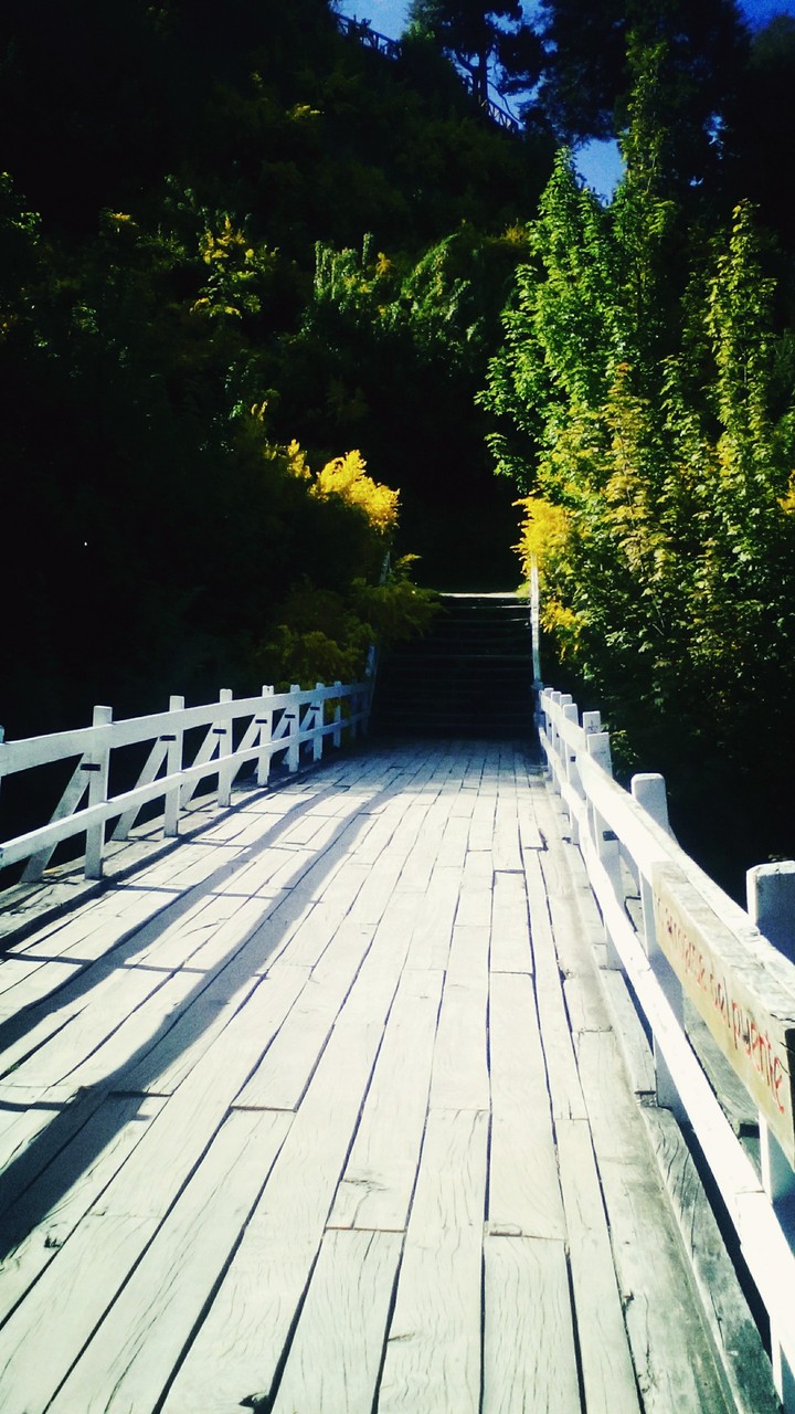 Puente