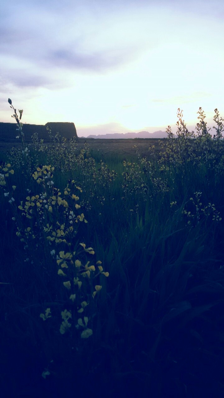 season