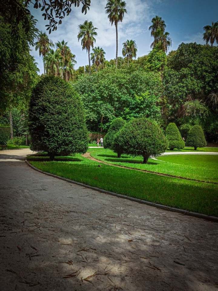 Algeria