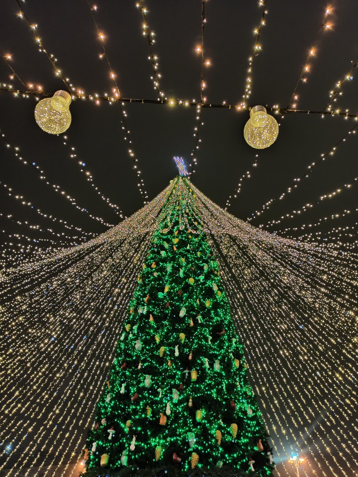 Christmas tree 3