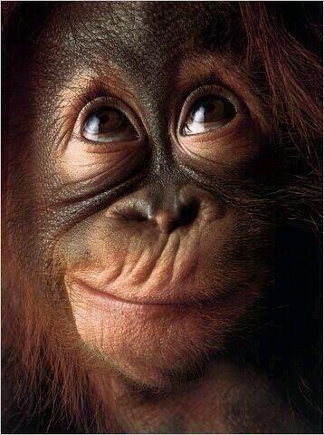 Let me think...