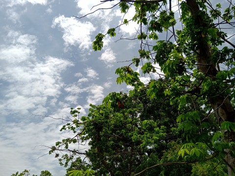 bEaUtIfUl ShOt