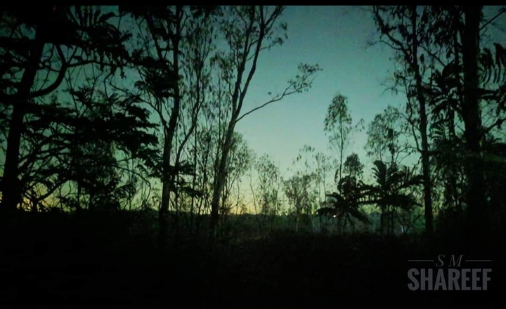 Nightshot