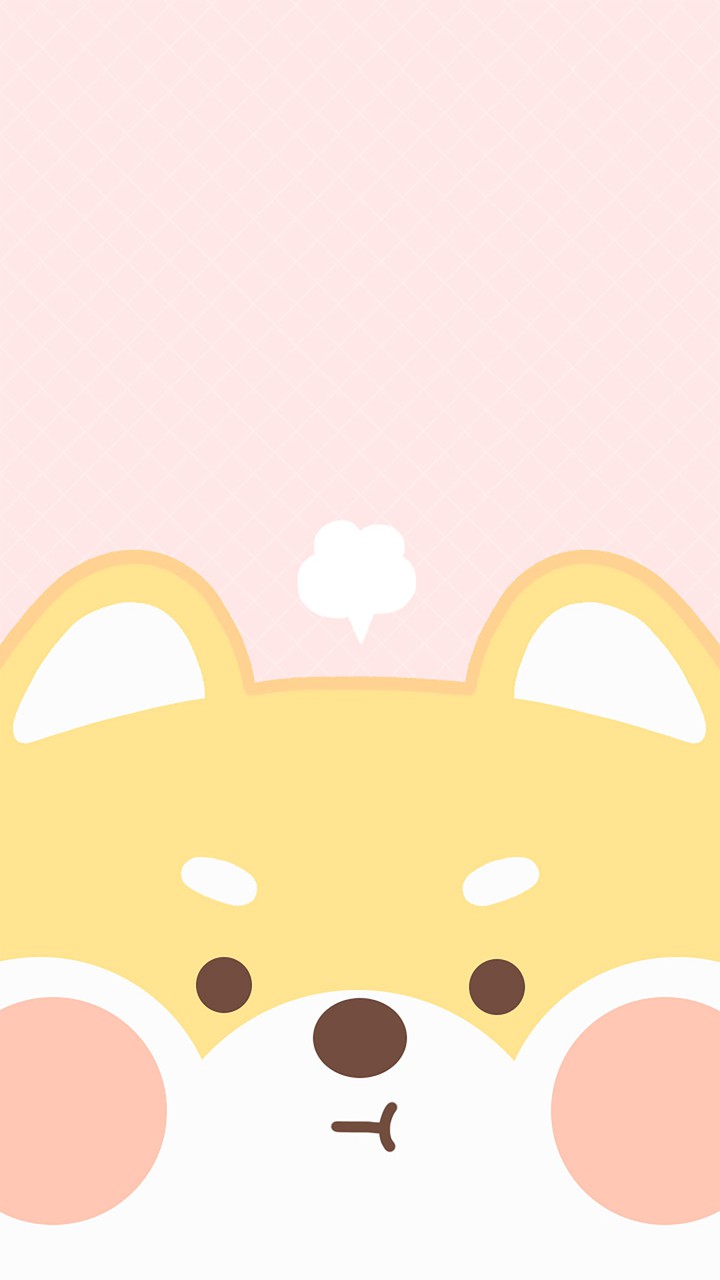 angry shiba