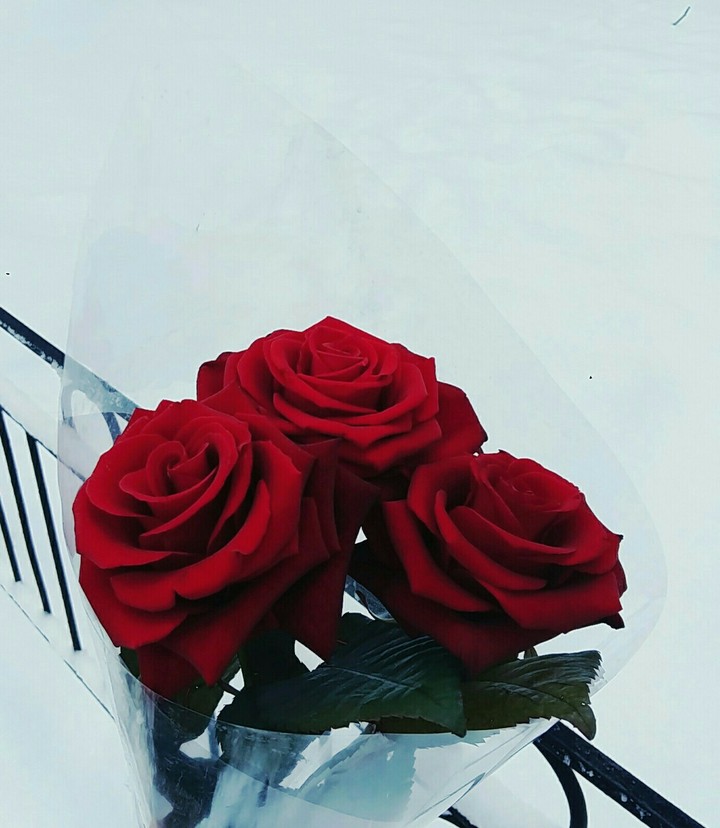 rose