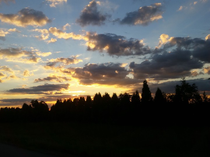 beauty