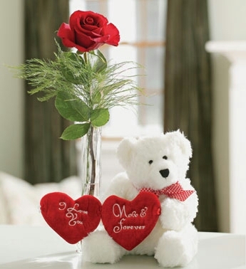 teddy bear