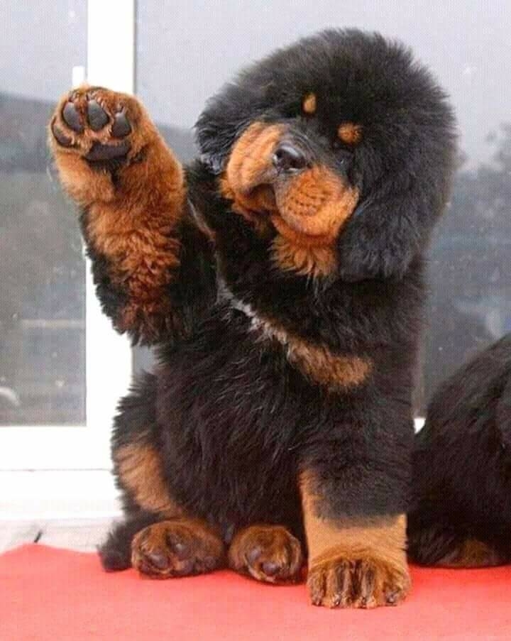 привет!!