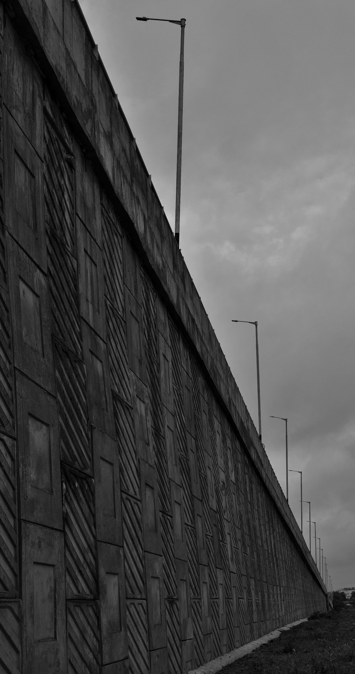 lines