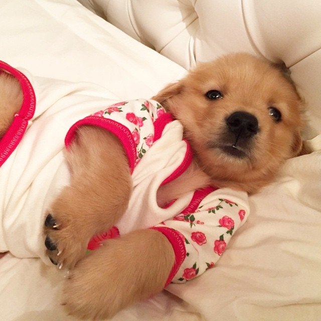 cute