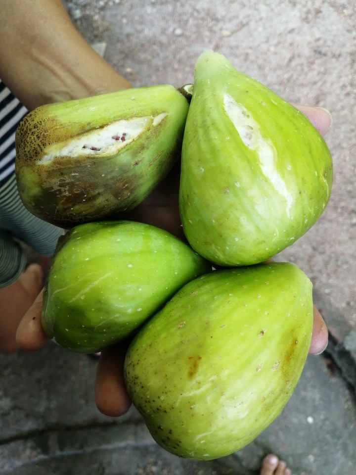 higos
