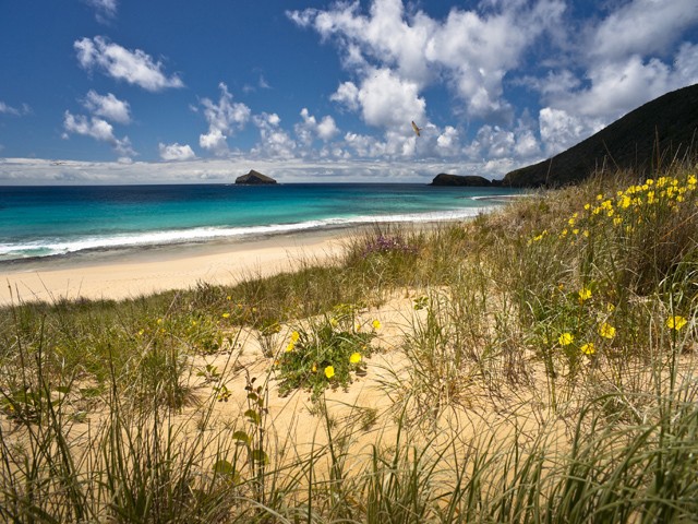 Playa