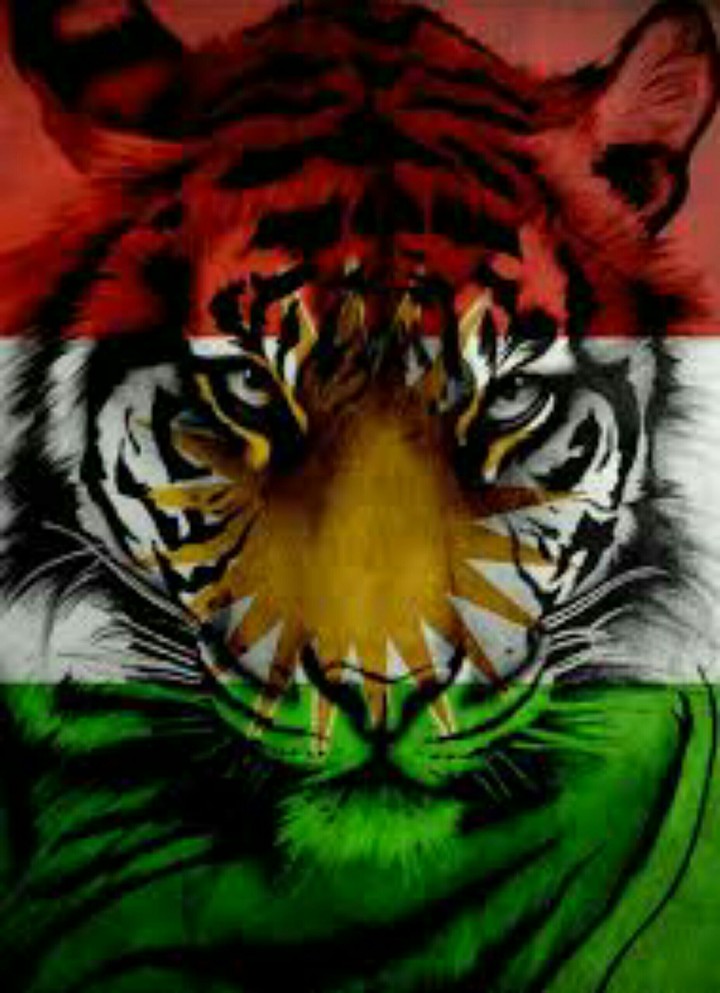 kurdistan