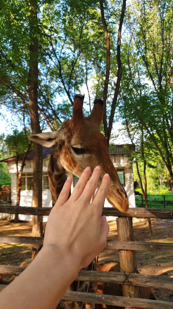 nature♡