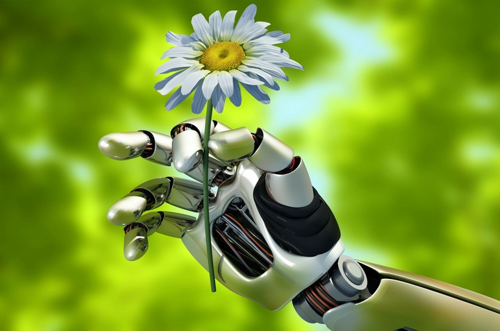 Robot