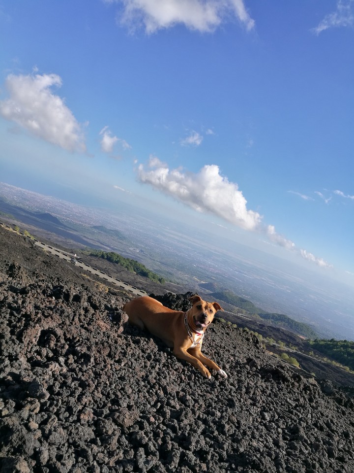 Panorama Etna