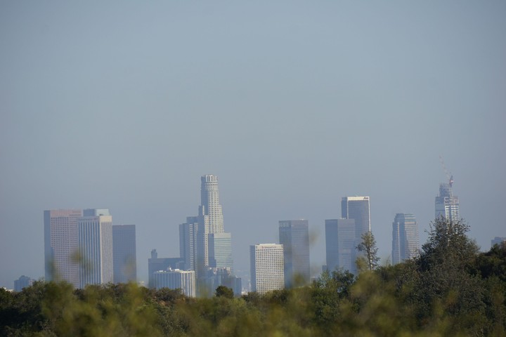 LA