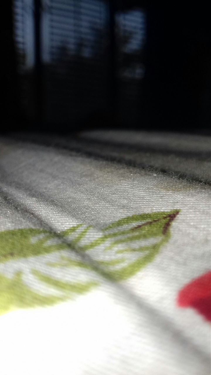 Fabric