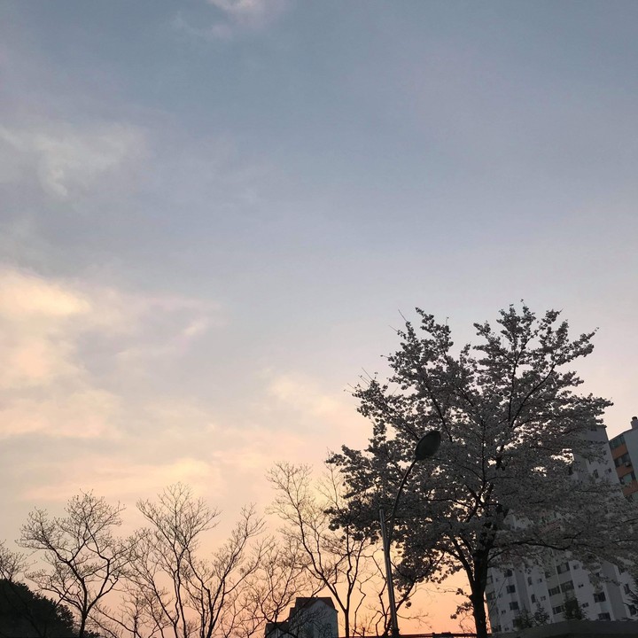 after school sky