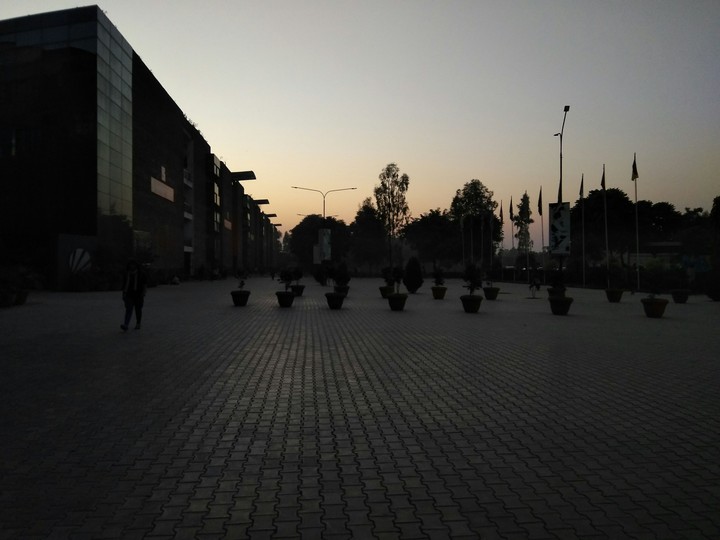 evening