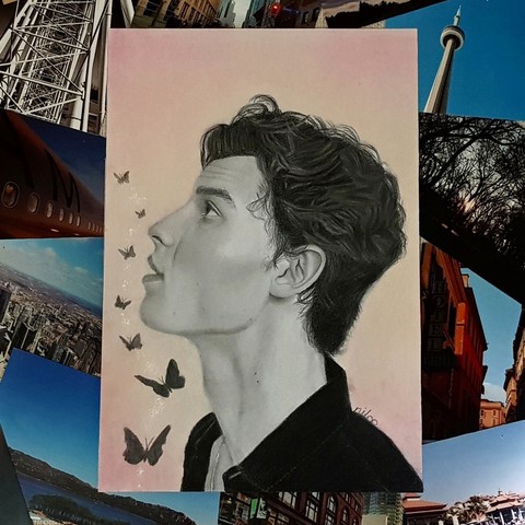 SHAWN MENDES DRAWING