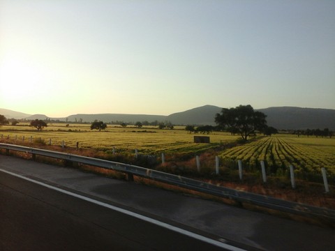 Michoacán
