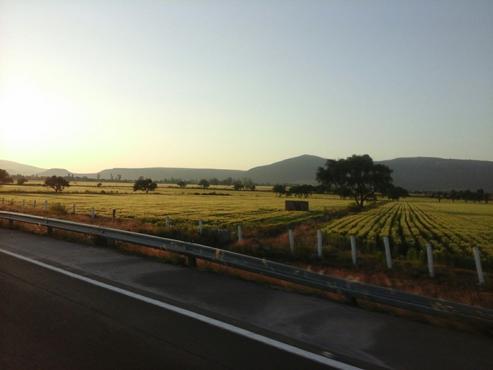 Michoacán