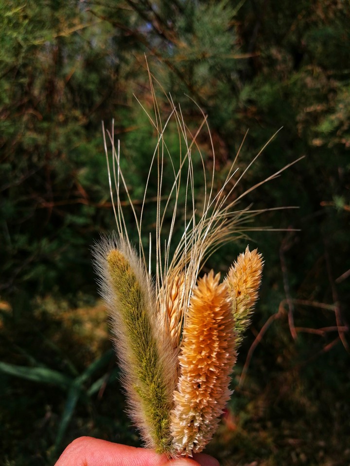 Mix