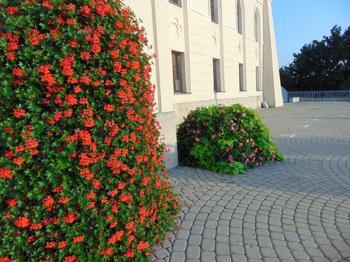 Lublin