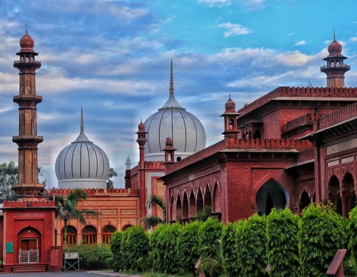 Aligarh Muslim University (AMU)