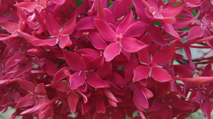 red