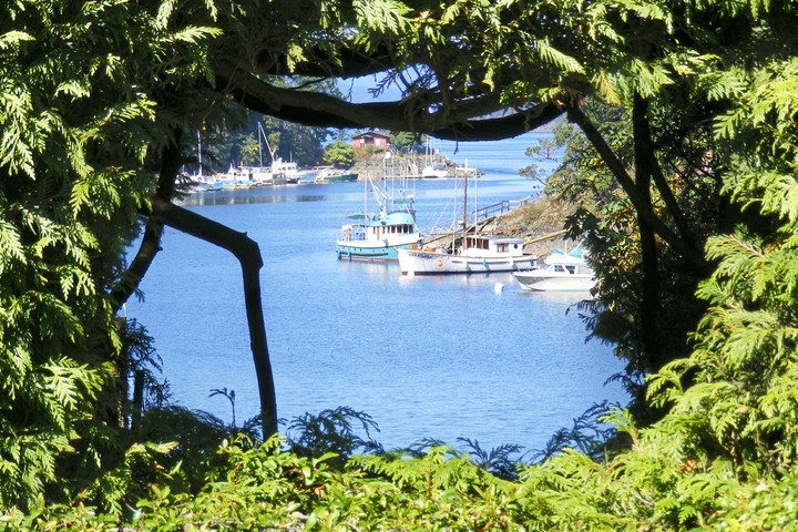 Boats framed