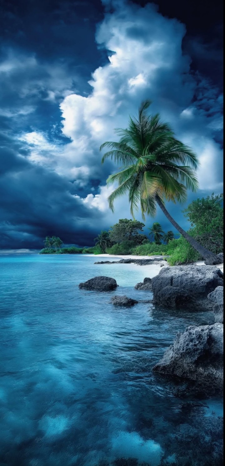 fondos de pantalla coast, ocean