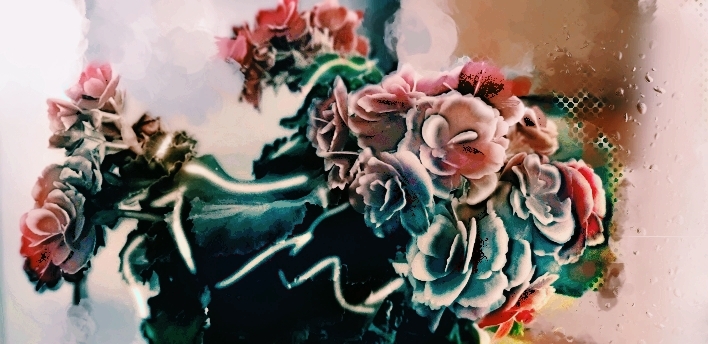 shamdooni