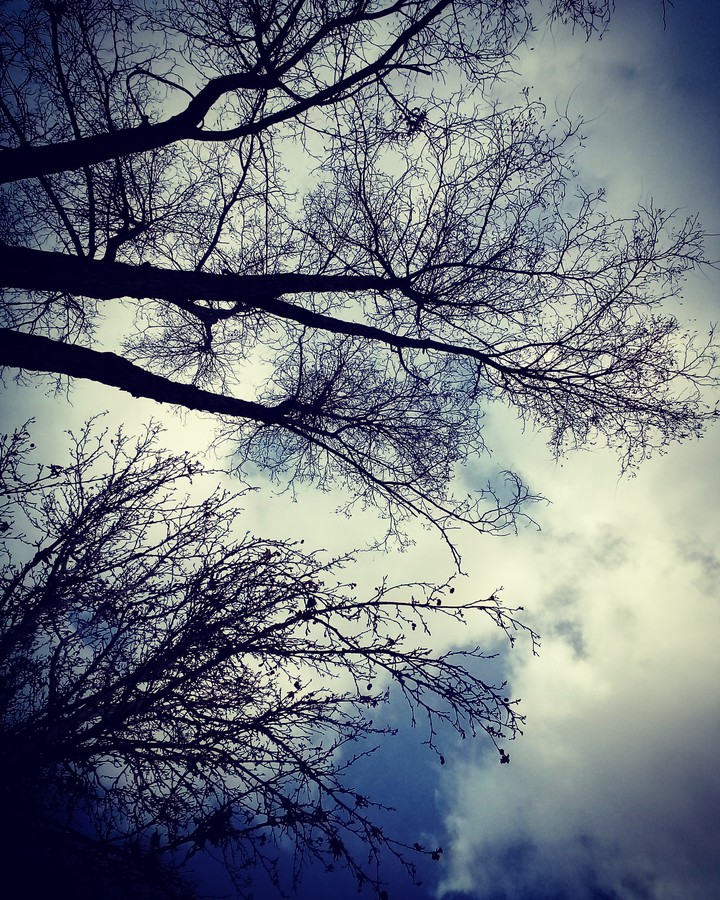 clear sky