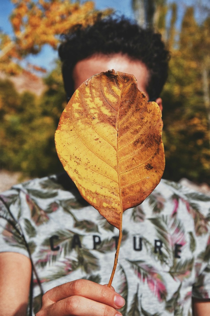 Bayram and fall ?