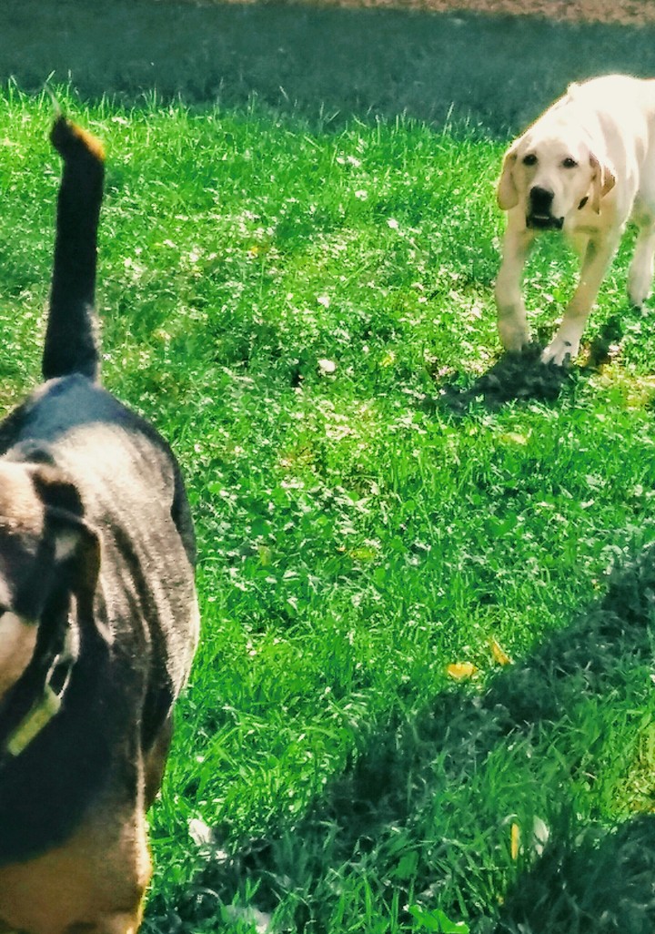 Catch me if you can.    :-)