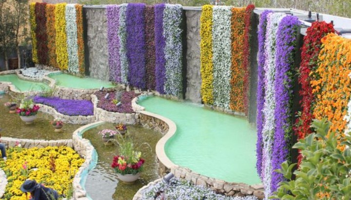 flower pond － curtains of flowers