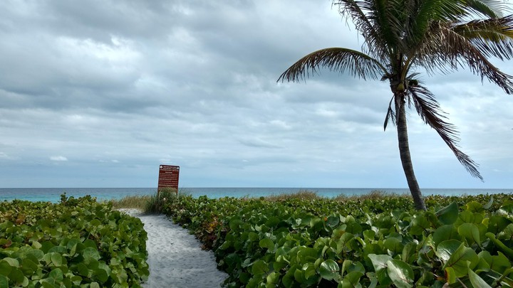 Overcast Ocean